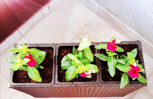 Studio apartment Meli - Foto 39