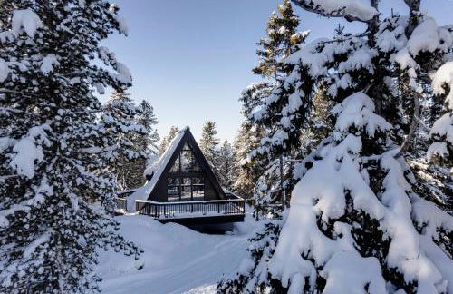 LUXE VISTA Mountain Chalet Cermis - mitten auf der Alm und Skipiste - Foto 39