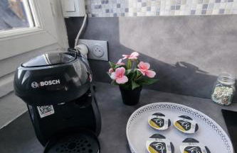 Emeraude du centre Elbeuf Confort et Elegance - Foto 49