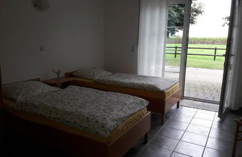 Ferienhof Schattmann - Foto 13