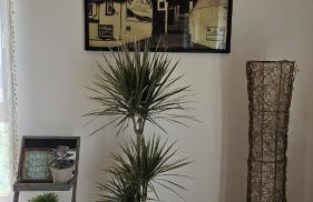 Alexandras Ferienwohnung - Maisonette 90 qm mit Balkon - Foto 37