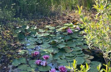 Quinta do Arade - casa 4 pétalas - Foto 57