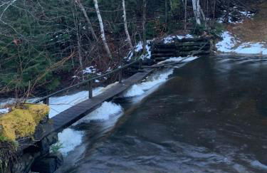 Alderbrook Yurt - Foto 16
