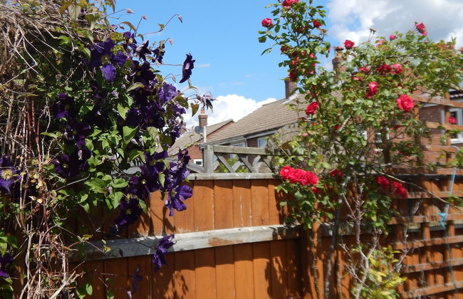 Cherry Palace 3 BD Parking Spaces groups - Foto 52