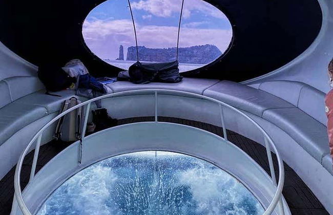 Passeio de barco com fundo de vidro por Vila Franca do Campo - Foto 5