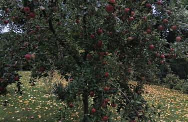 Ferienwohnung Perlitz - Foto 8