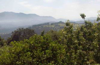 Casona Azul Llue - Asturias Vacations - Foto 33