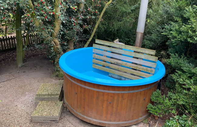 Secluded Farmhouse in Balkbrug with Hot Tub - Foto 19