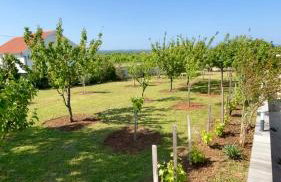 Villa Smokva - Foto 17