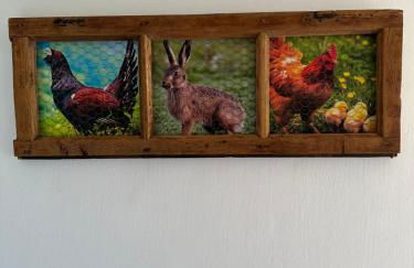 AIRE DE PICOS Sur - Foto 20