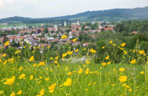 Eistobel und Felderhalde - Foto 10
