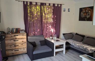 Mazury domek całoroczny Pelnik gm Ostróda jezioro las - Photo 10