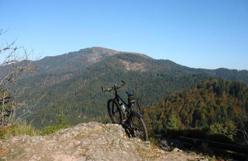 Ferienwohnung 'auf dem Burstel' - Foto 24