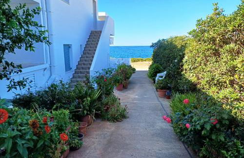 Nautilus Apartments - Foto 16