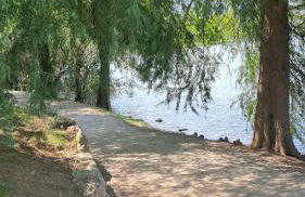 CasaEndine - Foto 13