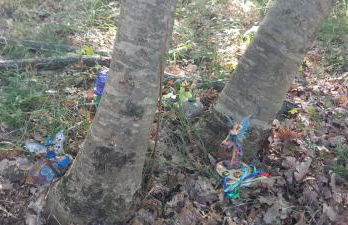 I Tre Lecci - Photo 44