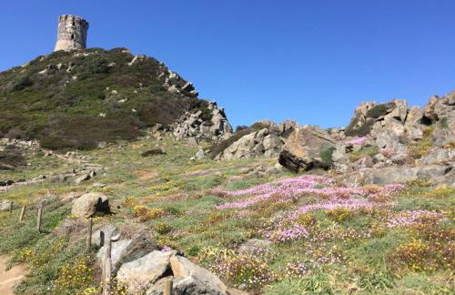 Claude et Marie-France - Foto 53