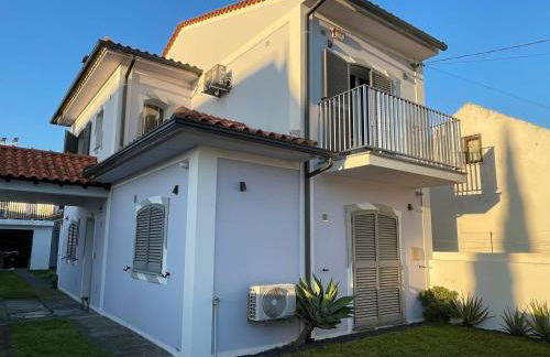 Bird’s Home - Foto 2