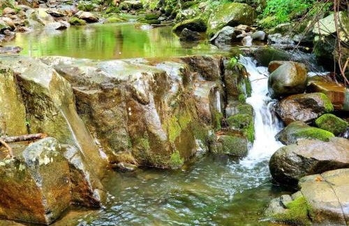 Zen River Retreat - Foto 21