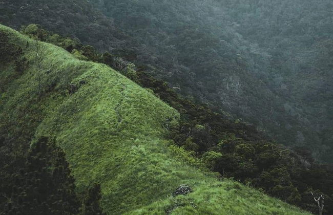 Mount view family rest & cottage - Photo 38