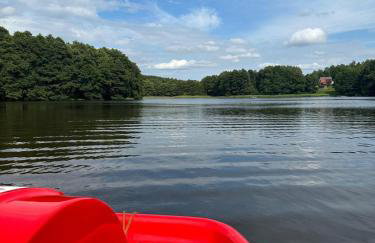 Lawendowy Wypas - Foto 47