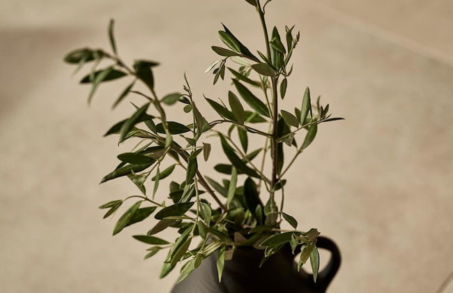 Beachfront Alassa Villas With Private Pools - Foto 23