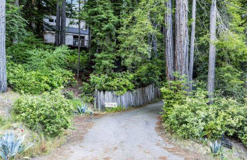 Redwood Retreat - Photo 32