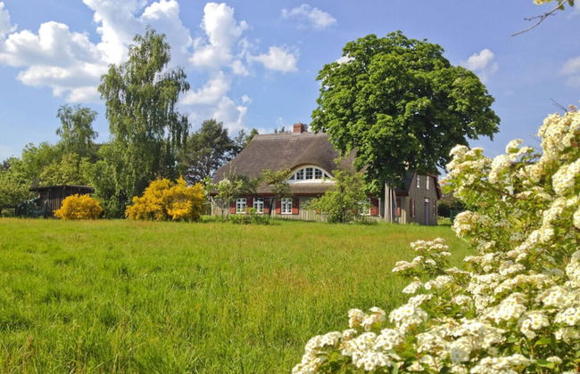 Old Shipman's House Comfortable Holiday Residence - Photo 37