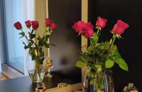 Iris Croatica J - deluxe apartment with shared pool, awarded BEST APARTMENT IN CROATIA 2024 - Foto 61