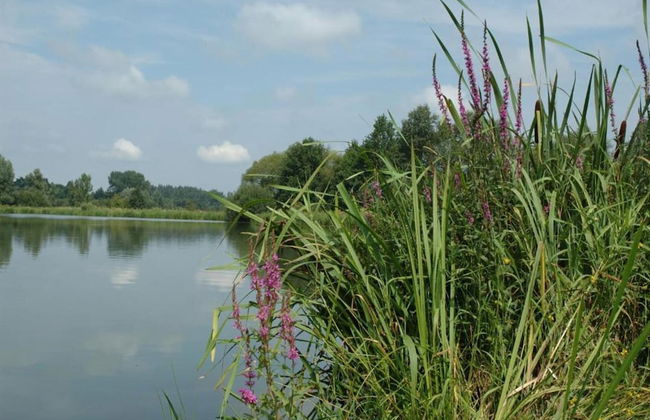 Scherpenheuvel Garden Home - Photo 31