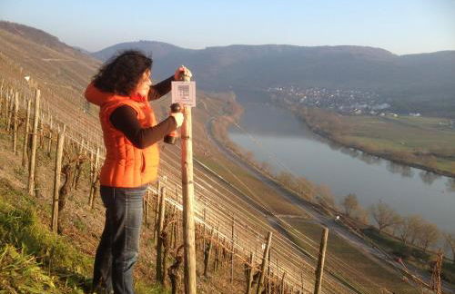SYBILLE KUNTZ Weingut Gästehaus - Foto 26
