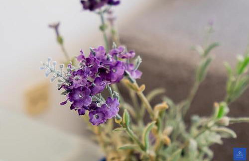 Casa Carob - Foto 44