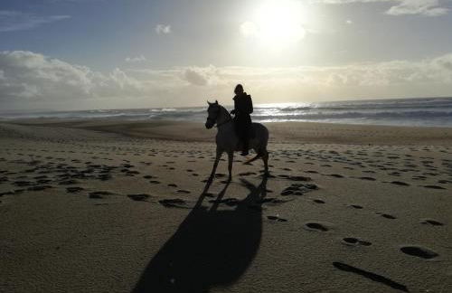 Casa da Paraventa - Foto 15