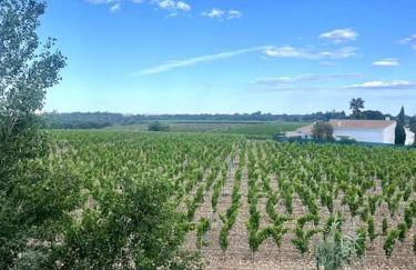 Maison au coeur des vignes - Foto 7