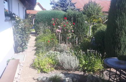 Ferienwohnung Schwarzwaldglück - Foto 21