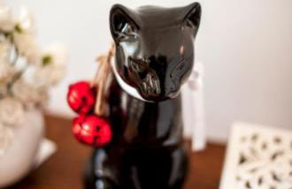 The Black Kitten II - Foto 2