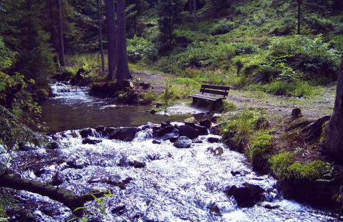 Ferienwohnung Reisinger - Foto 11
