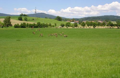 Gerda's Ferienhäuser - Foto 28