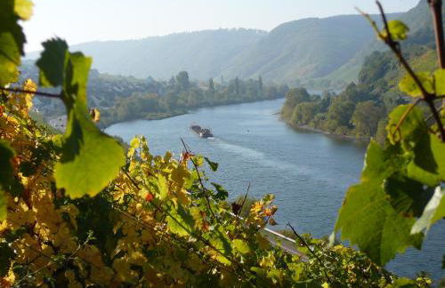 Ferienwohnung Rivaner - Foto 21