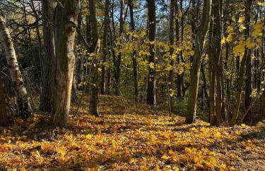 Drift Away - Foto 56