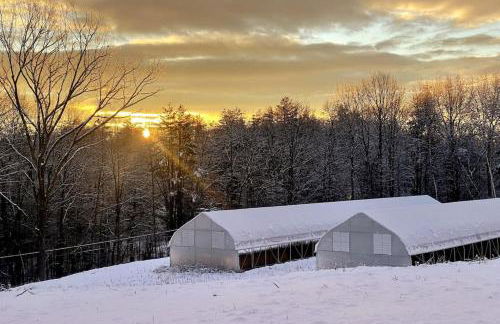 Luxury Farm Stay-Bonds Corner Bungalow-Wolf Pine Hollow - Foto 17