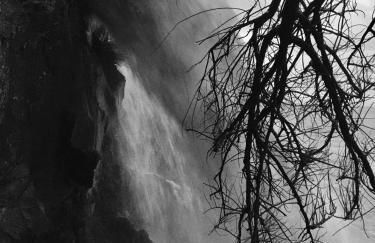 Casa Às Oito - Photo 44