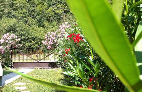 Le Giare House - Photo 65