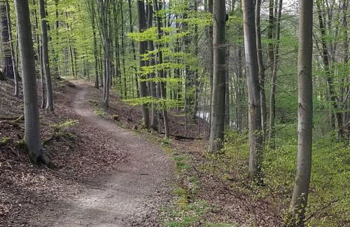 Ferienwohnung Müller - Foto 12