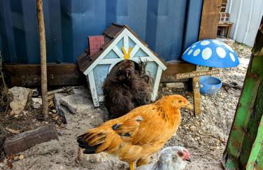 Cozy AF Tiny-House Oasis - Foto 24