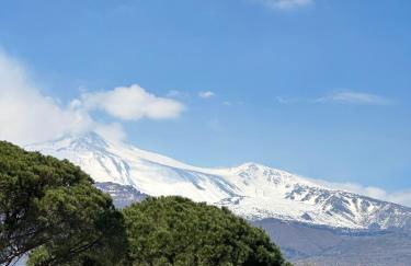 La pigna delle Aci Apartment - Foto 59