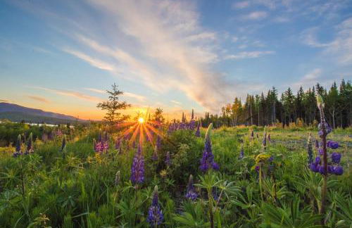 Water's Edge - Foto 24