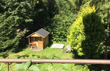 Agropensjonat Tramp z góralskim spa - Foto 23