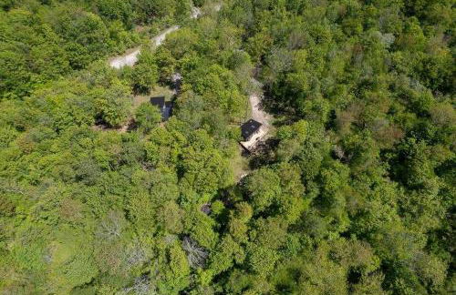 Private Cabin with Guesthouse Hot Tub Fire Pits - Foto 48