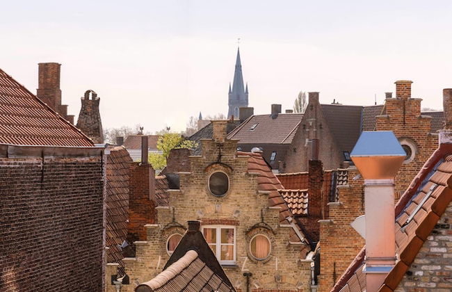 Bonrepo Room 105 in Brugge - Foto 1